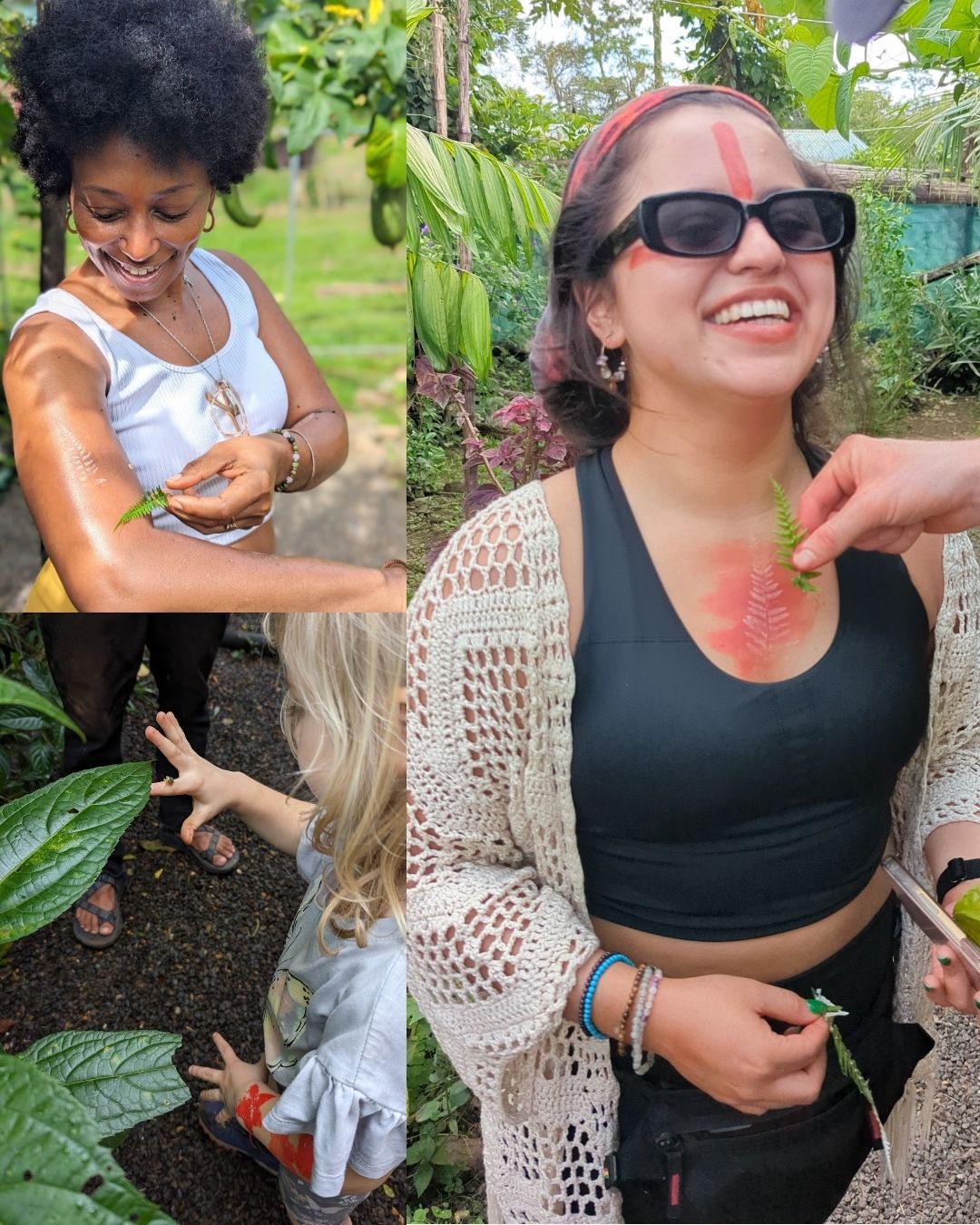 Paz Medicinal Garden & Ancestral Medicine Tour