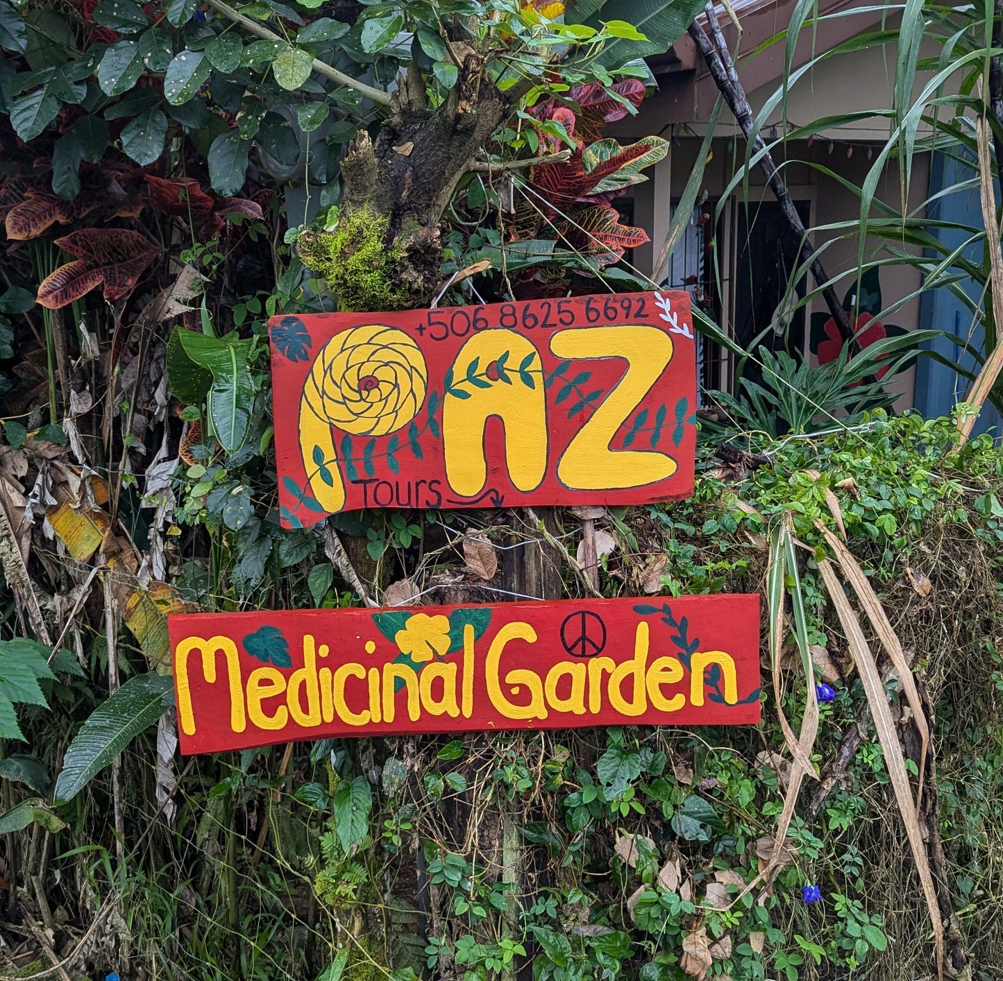 Paz Medicinal Plant Tour