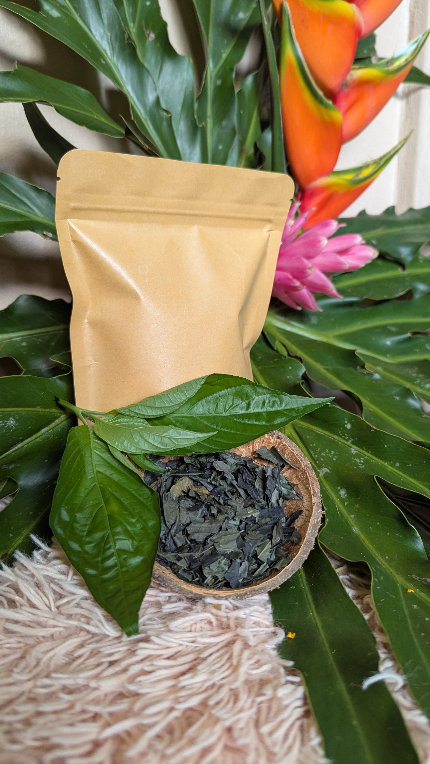 Viva Insulina – Blood Sugar Balance Tea
