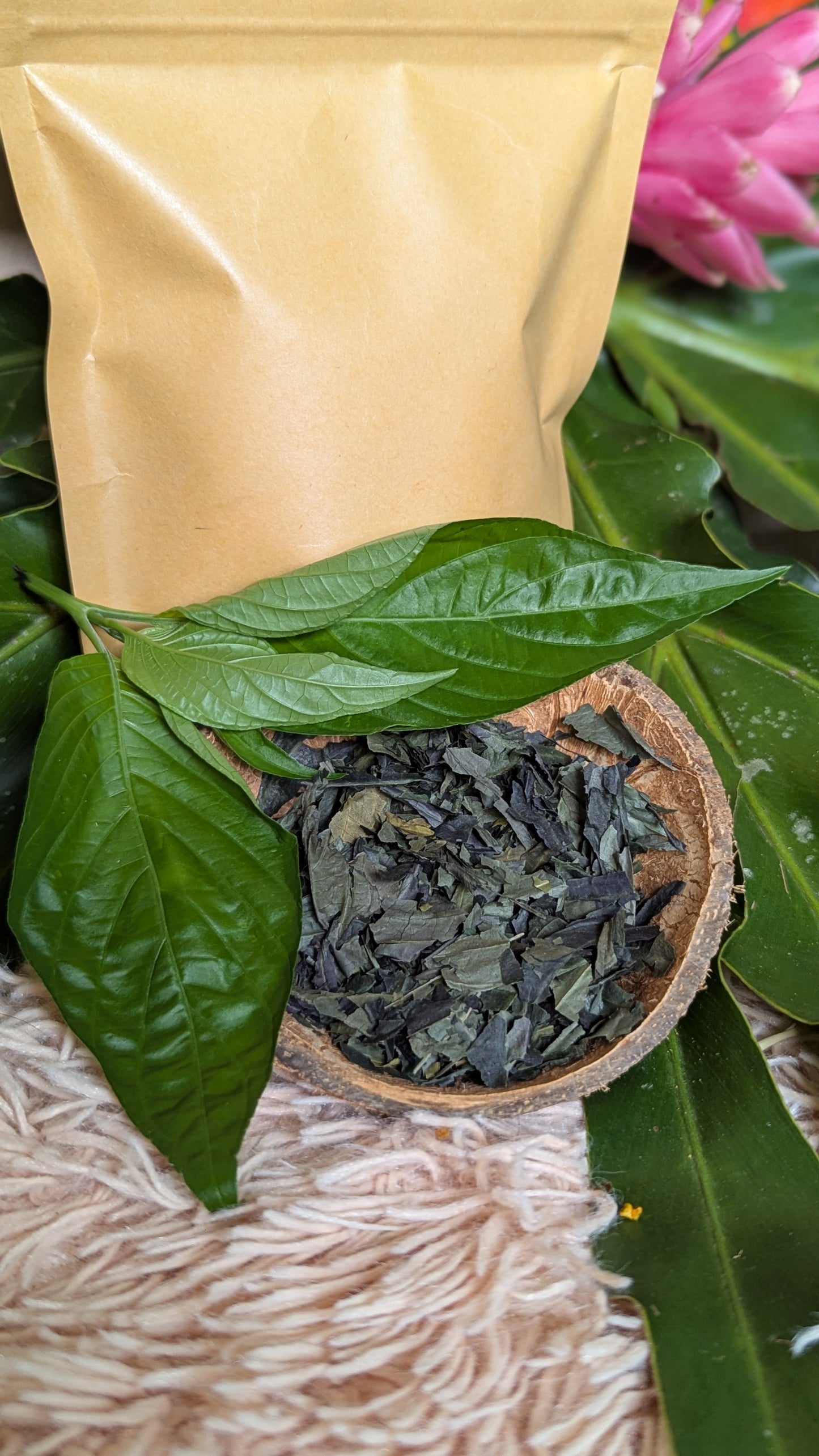 Viva Insulina – Blood Sugar Balance Tea