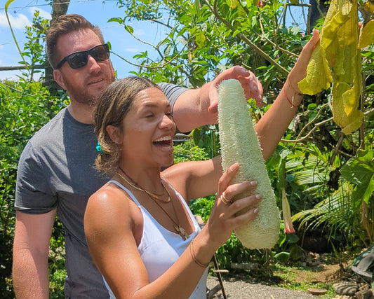 Paz Medicinal Plant Tour