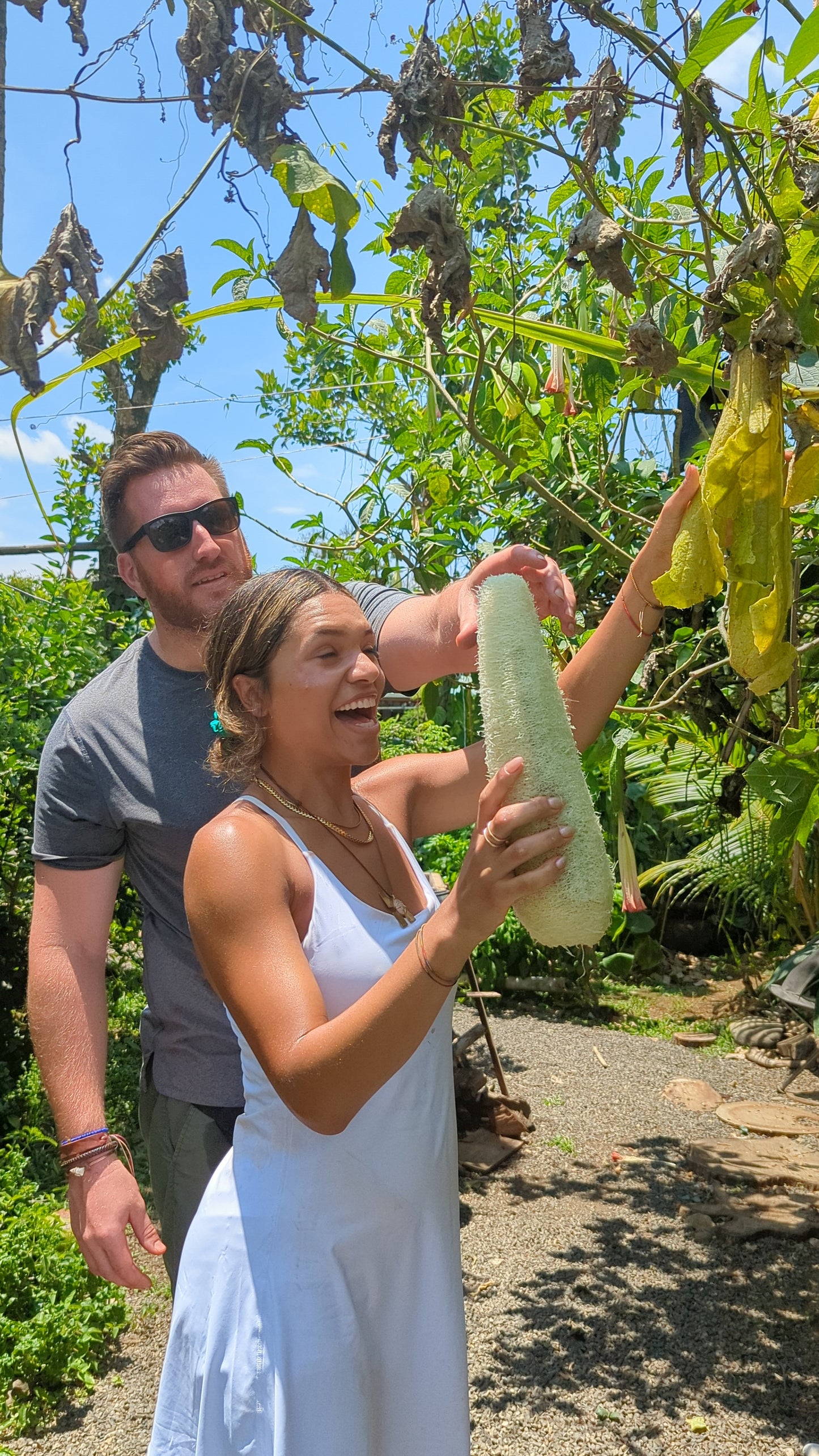 Medicinal Plant Tour